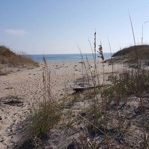 Meet your Posher, Joni